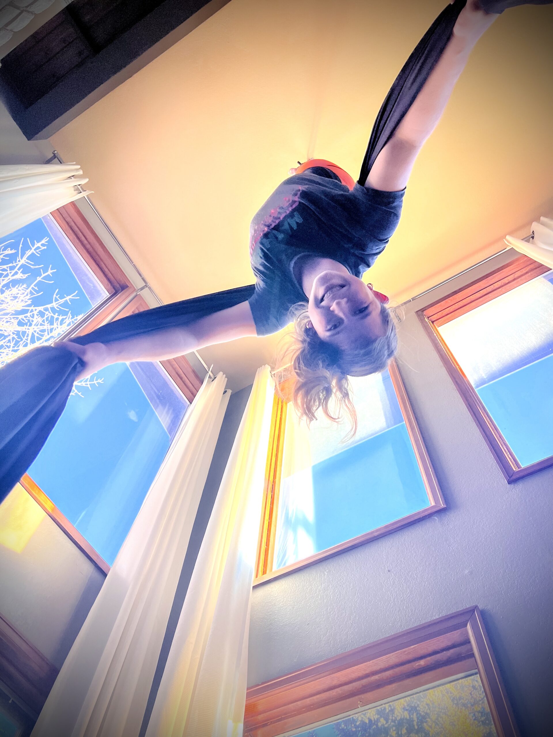 Ridgway Montrose aerial silks